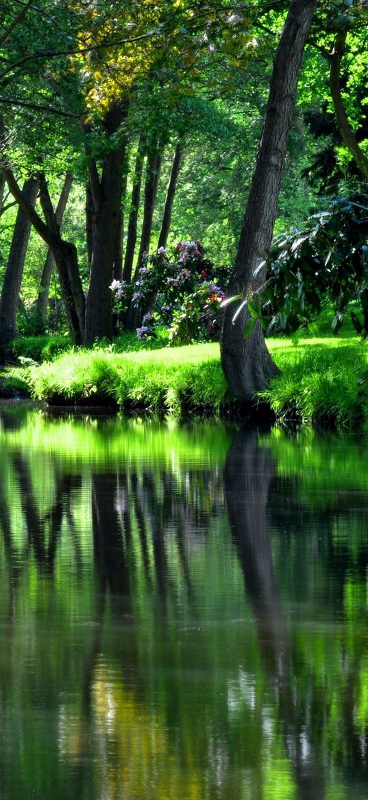 reservoir, river, garden, flowers, trees, shadow, cool, summer residences