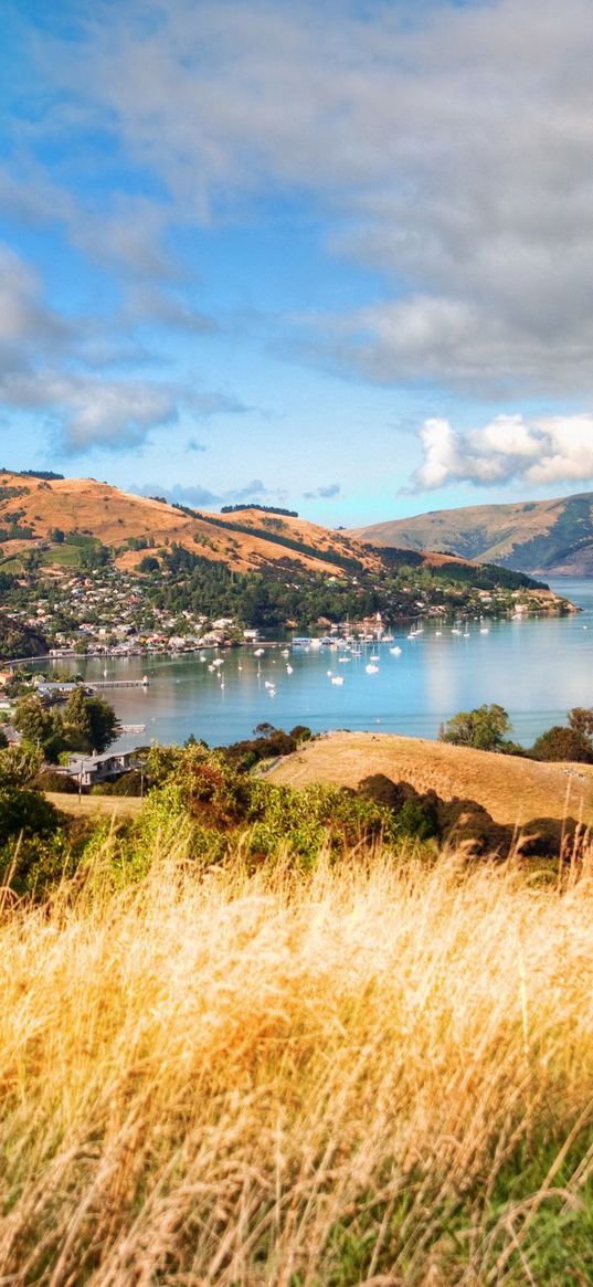 grass, mountains, trees, clouds, coast, sea, ships, height, look