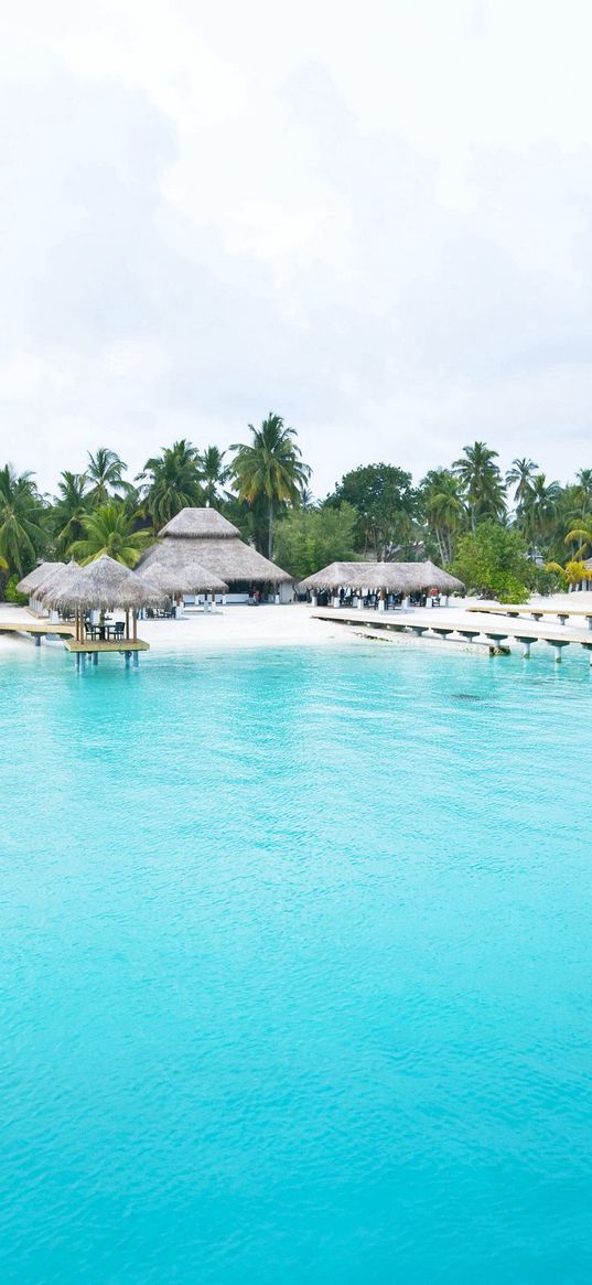 azure, tropics, arbors, palm trees, cloudy, sky, pier, people, island, resort