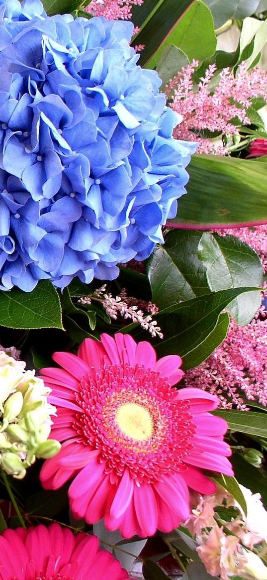 hydrangea, gerbera, delphinium, flower, decoration