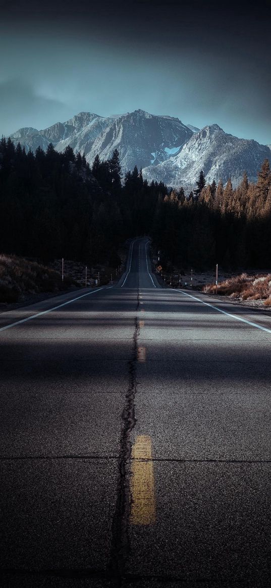 road, savannah, trees, forest, mountain, ice, sky, horizon