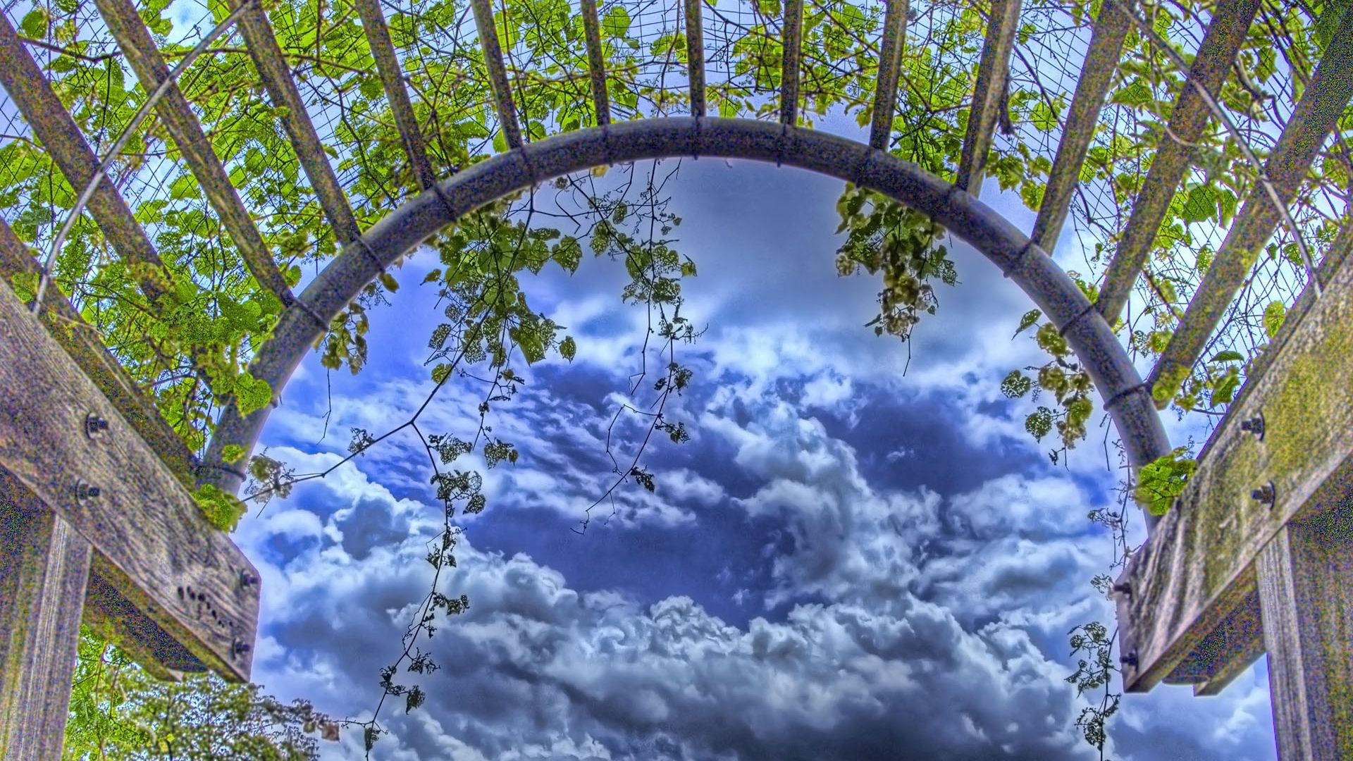 arch, grass, leaves, garden, hdr