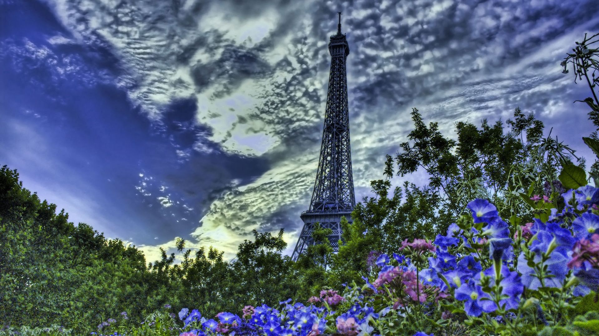 paris, france, eiffel tower, flowers, sky, hdr