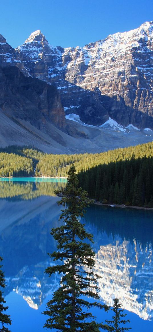 lake, mountains, wood, azure, shadows, cool, coniferous