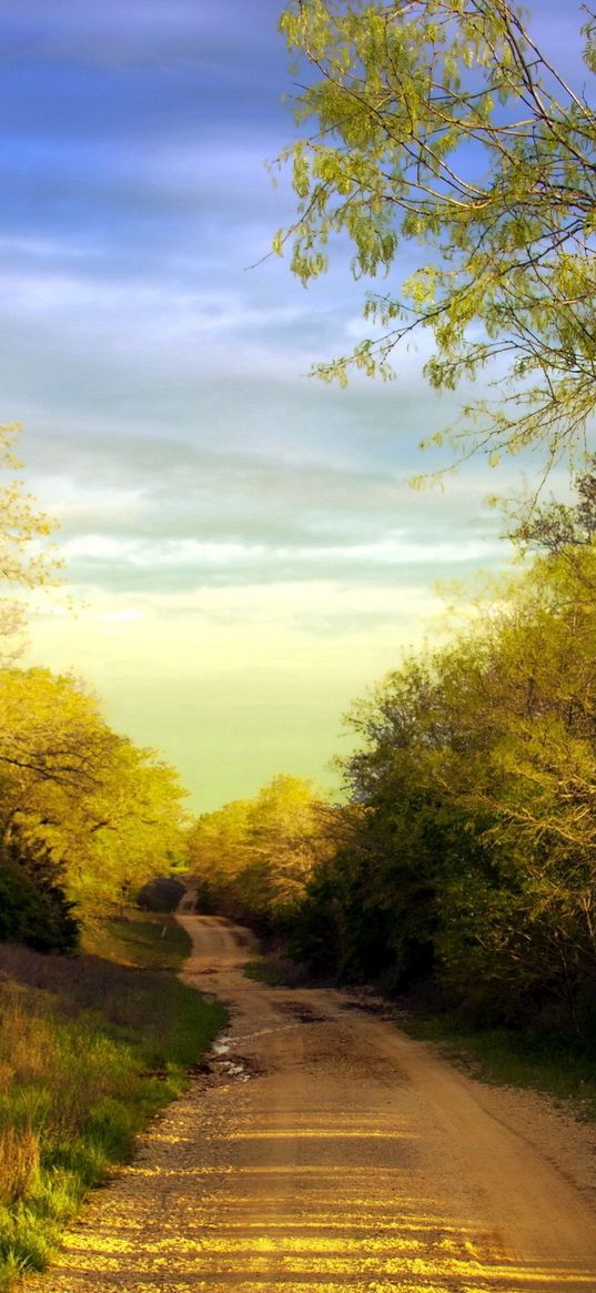 road, soil, country, trees, spring, pools