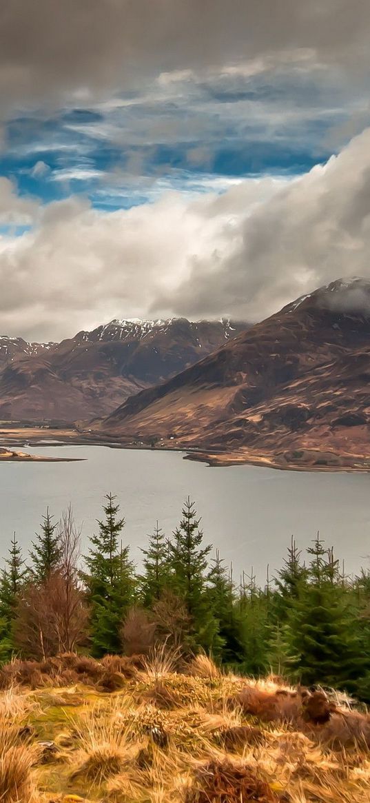 mountains, sky, lake, clouds, dense, wood, coniferous, birches, grass, faded, autumn, look, landscape