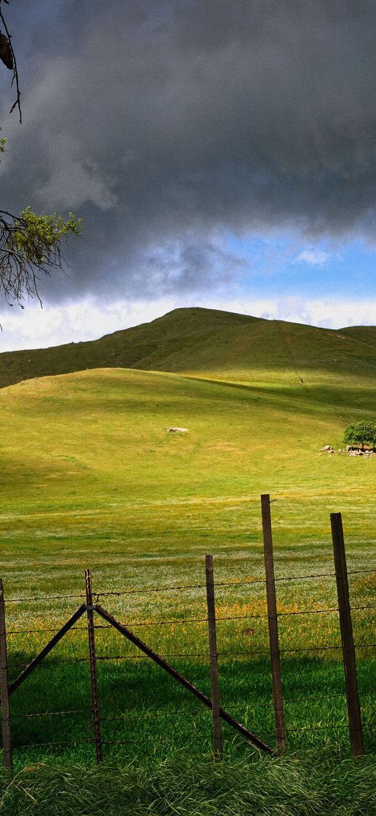 fence, sticks, tree, protection, hills, sky, clouds, gloomy