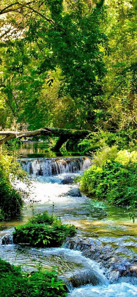 river, wood, green, thickets, stream, current, cascades, brightly, contrast, shadows, summer