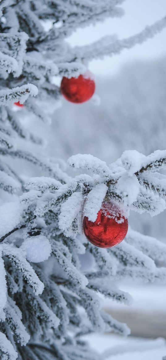 snow, spruce, winter, christmas balls, decorations