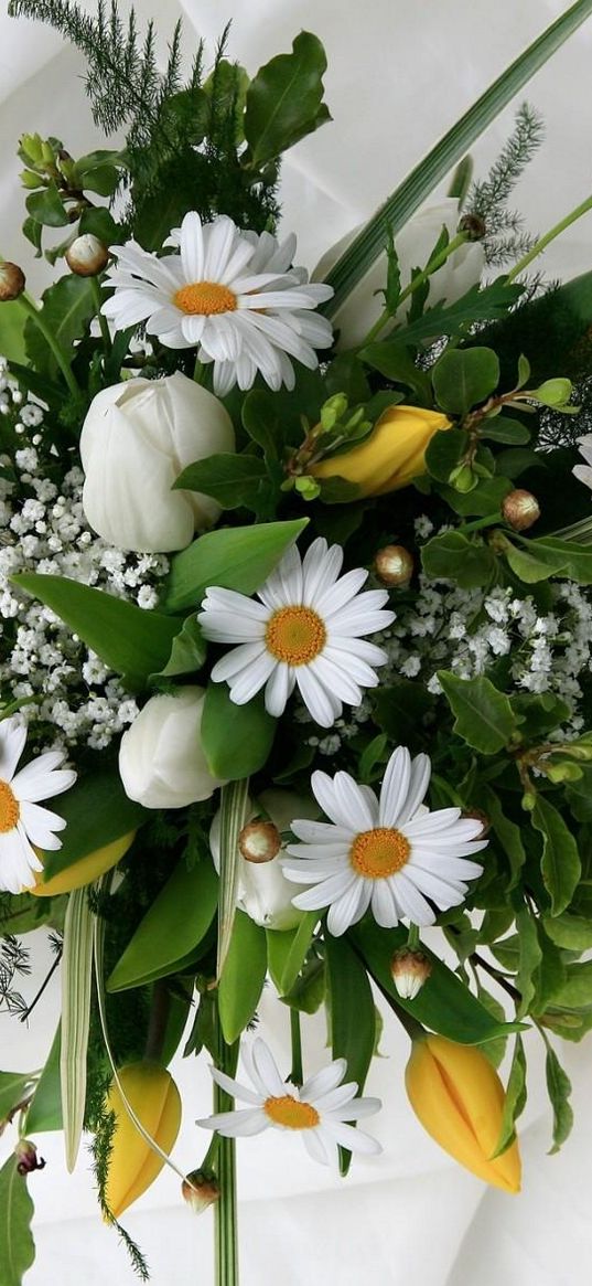 daisies, tulips, gypsophila, bouquet, design, tender