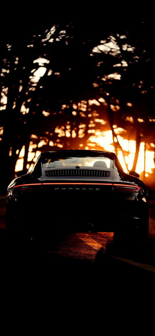 porsche, sports car, road, trees, forest, sun, sunset