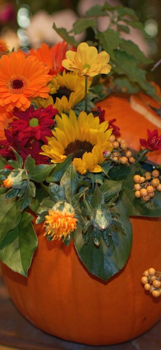 gerberas, sunflowers, flowers, berries, flower, pumpkin, composition