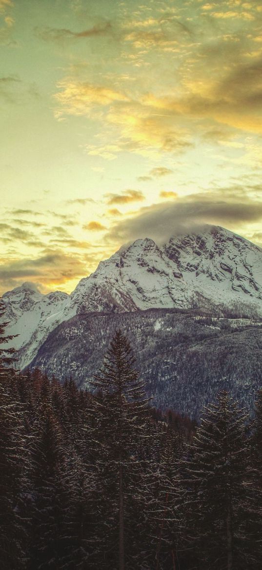 mountain, top, snow-covered, clouds, sky, pines, light, shadows, dullness, colors