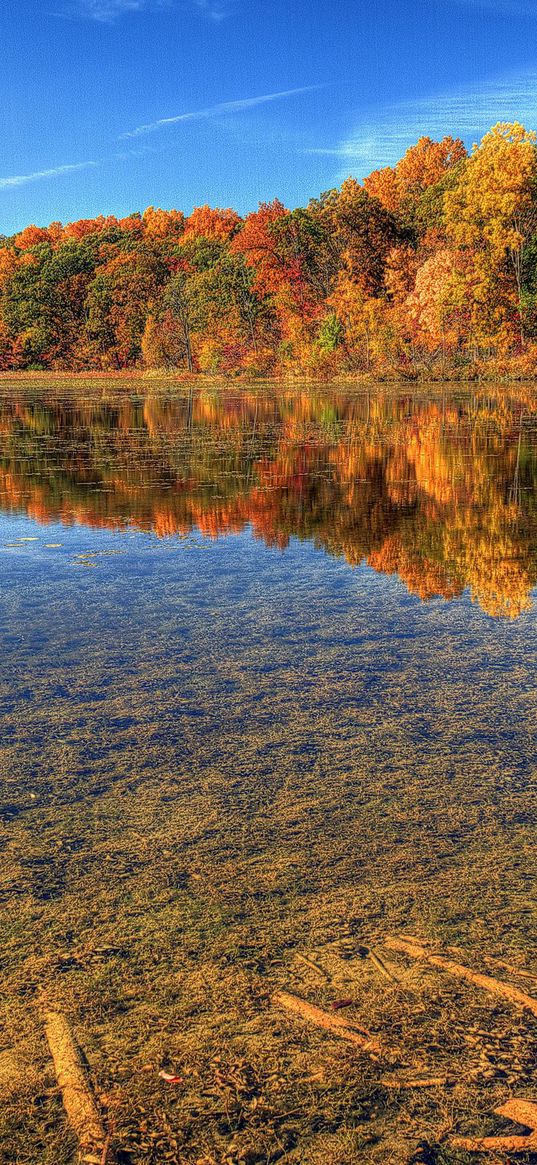 autumn, water, transparent, bottom, trees, branches, sky, blue, clearly, brightly