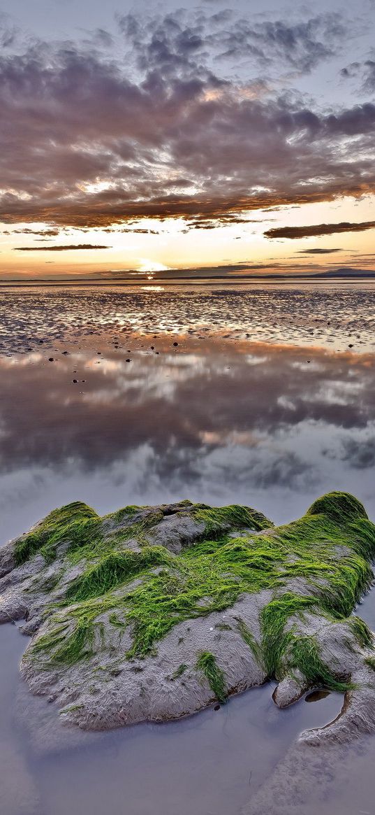 reeves, stone, moss, outflow, evening, twilight, pool, water, clouds, sky