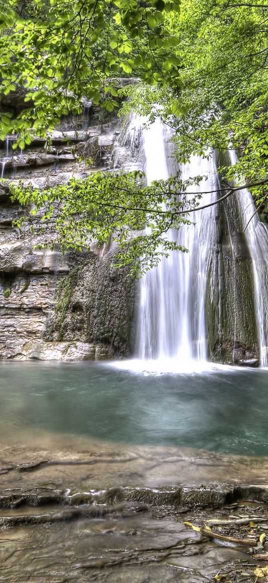 falls, tree, branch, rocks, streams, leaves