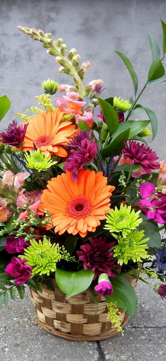 gerberas, chrysanthemums, flowers, basket, combination, composition