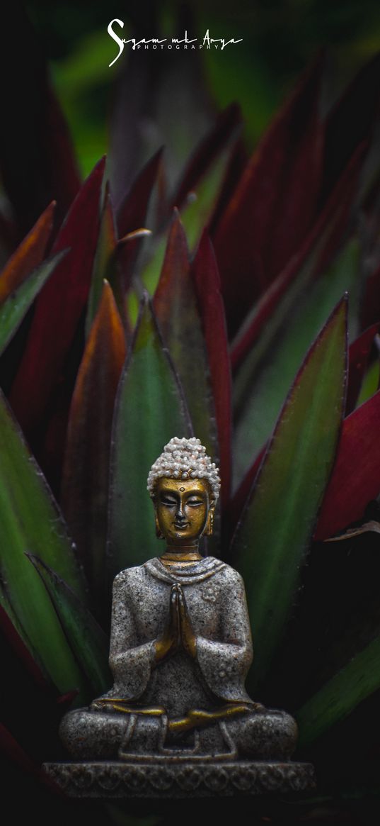 buddha, statue, god, leaves, plant, hinduism, religion, india