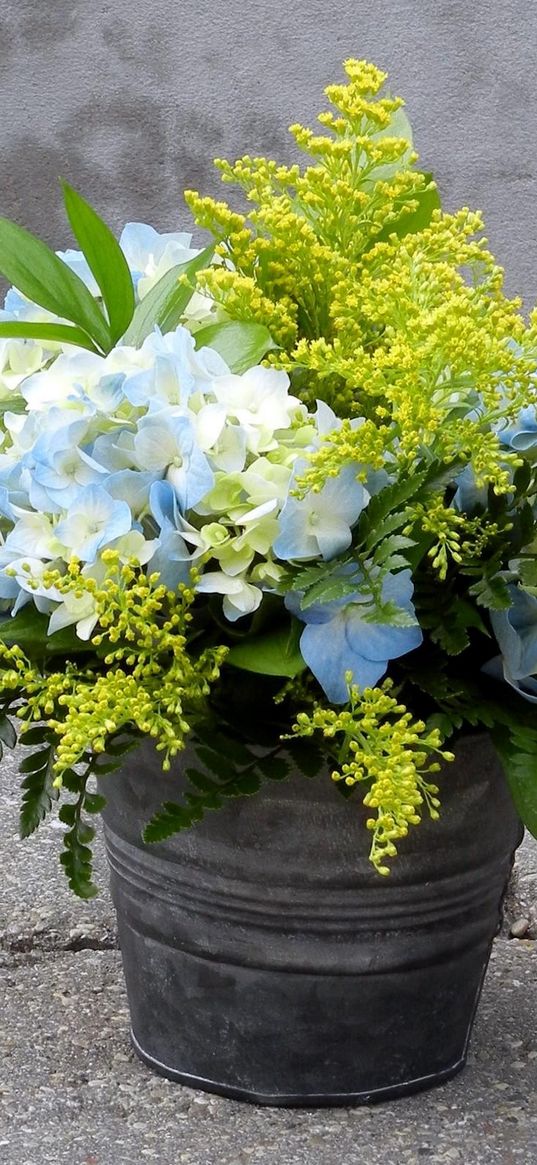 mimosa, hydrangea, bouquet, bucket, asphalt