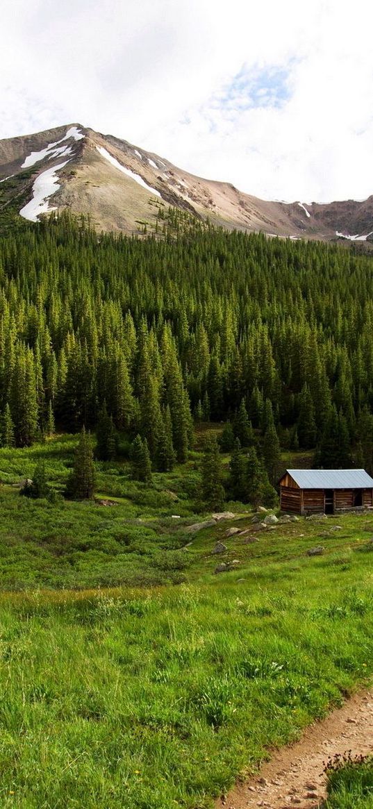 footpath, home, mountains, tops, wood, snow, sky, green, summer, privacy