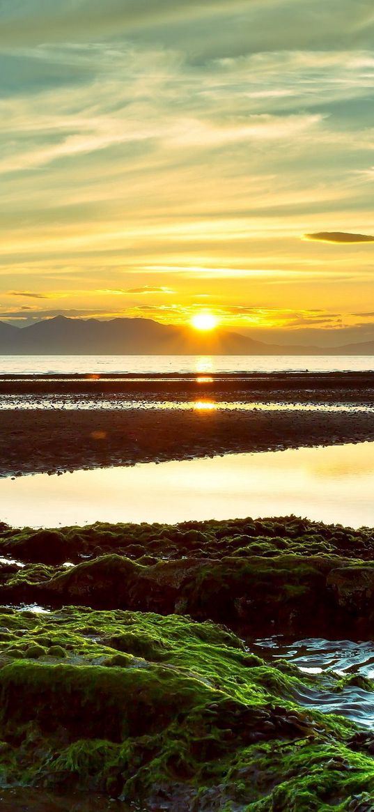 sun, decline, reeves, evening, moss, clouds, stains, horizon, line, patterns, outflow