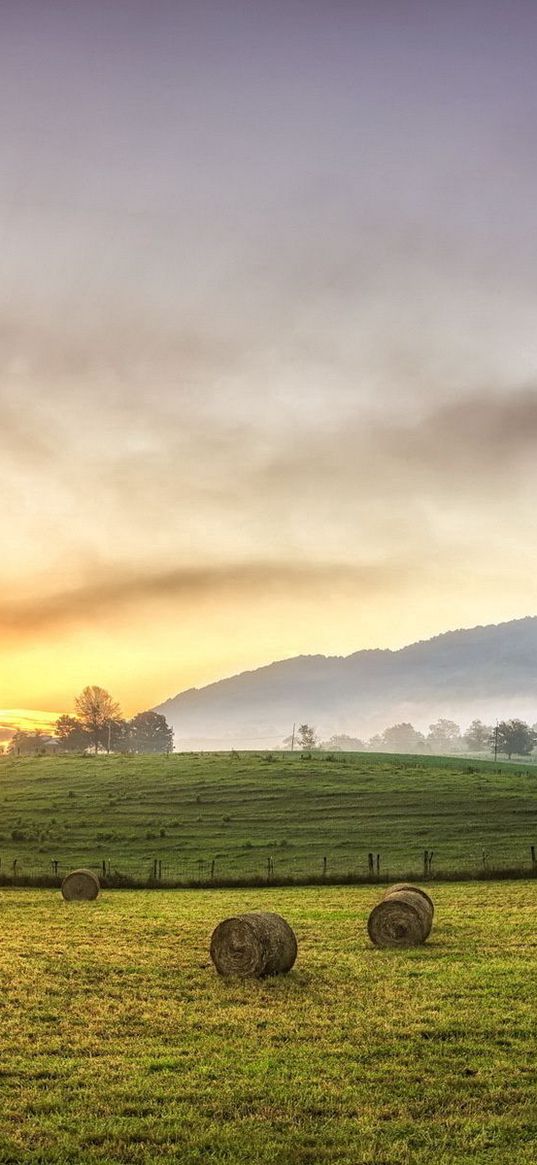 hay, bales, glade, sun, mountains, fog, trees, august, serenity