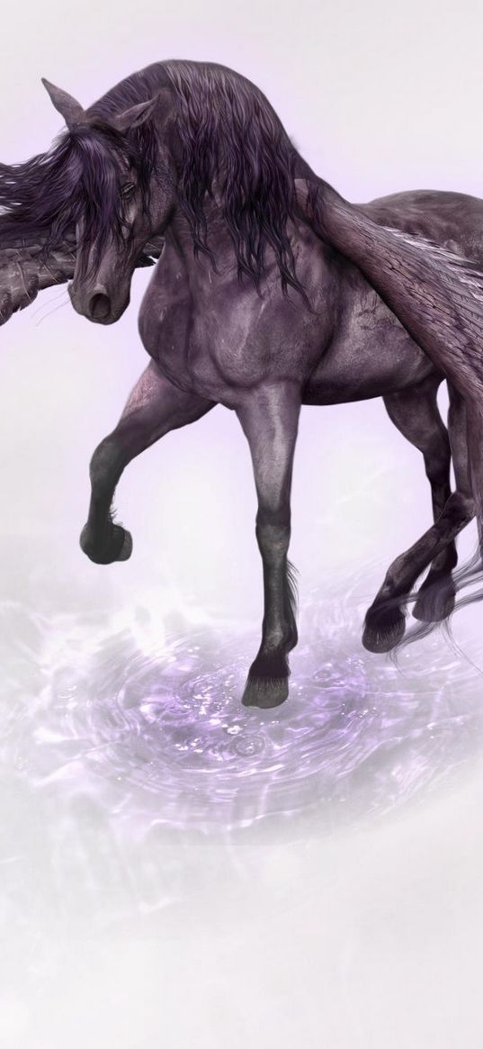 pegasus, horse, wings, water