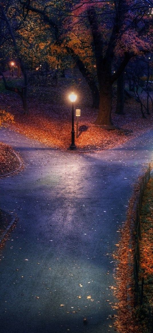 park, autumn, city, lights, pavement, trails, leaves