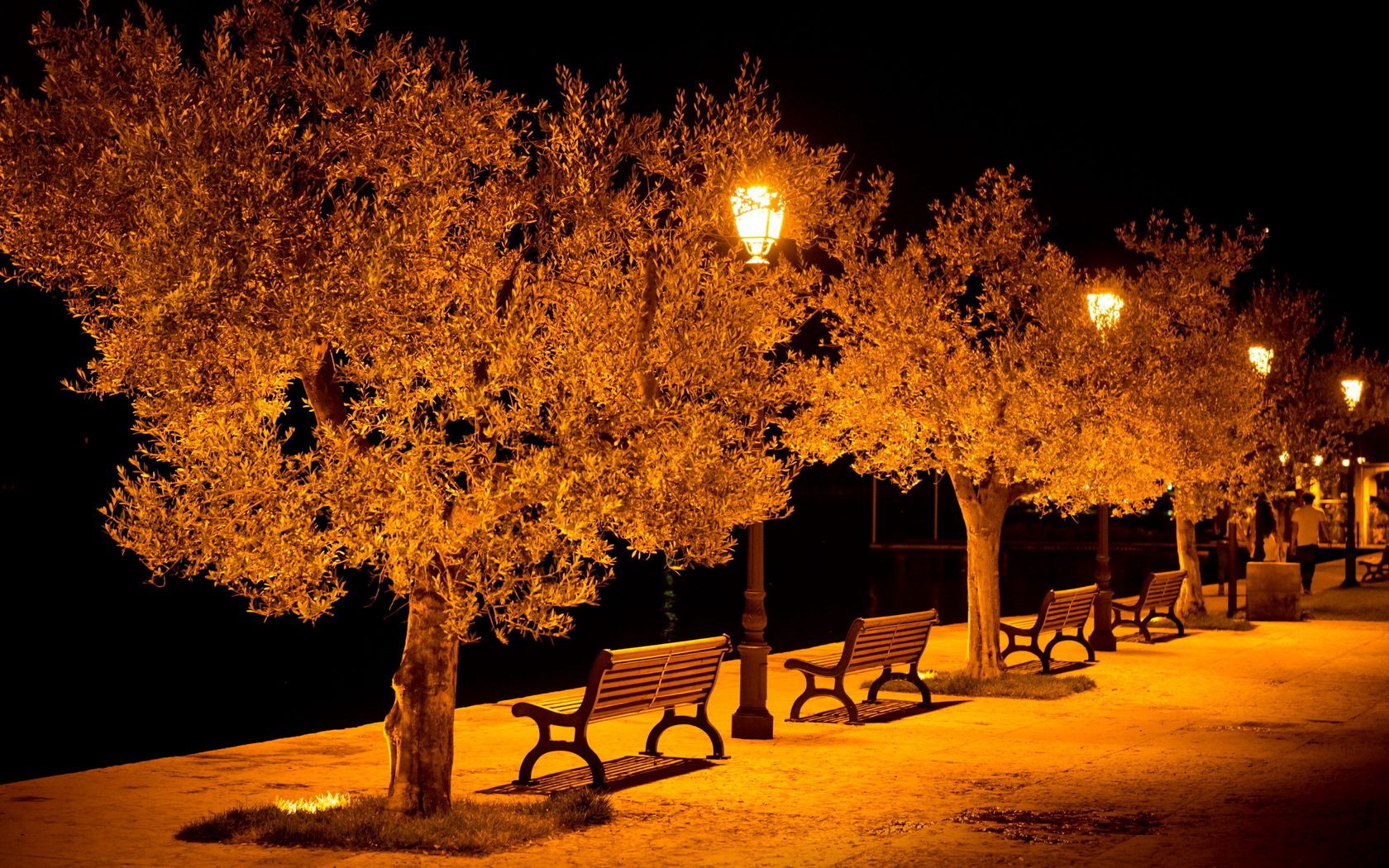 city, street, benches, lights, park, evening