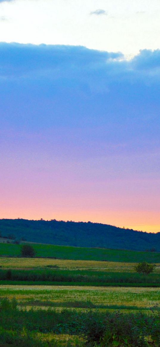 sky, evening, landscape, field, road, country, silence, serenity