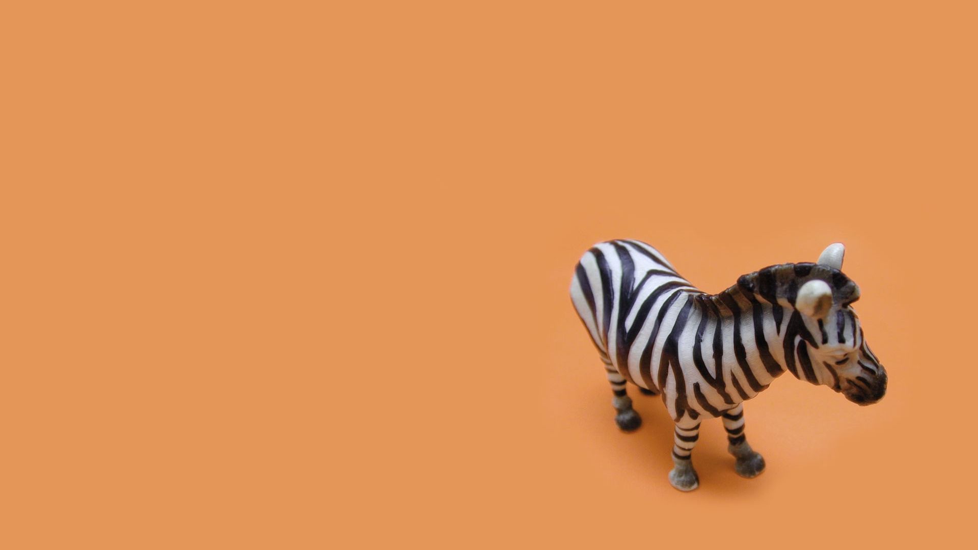 zebra, toy, white, striped