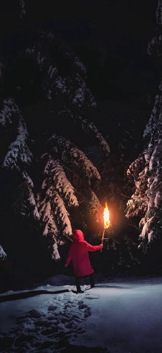 man, lonely, torch, christmas trees, trees, forest, snow, winter, darkness, night, nature