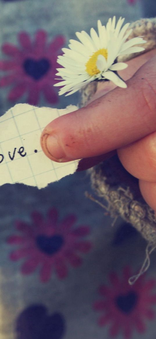 hands, baby, daisy, flowers, note