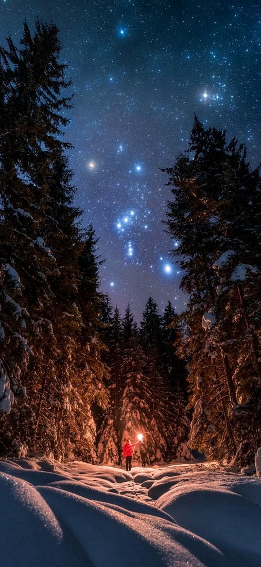 man, lonely, torch, trees, forest, snow, winter, stars, night, nature