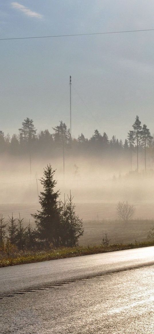 road, asphalt, fog, morning, freshness, shine, trees, wires