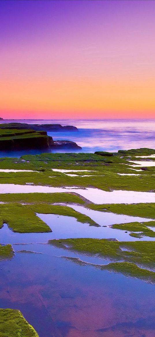 plates, moss, coast, stone, water, sea, horizon, orange, evening