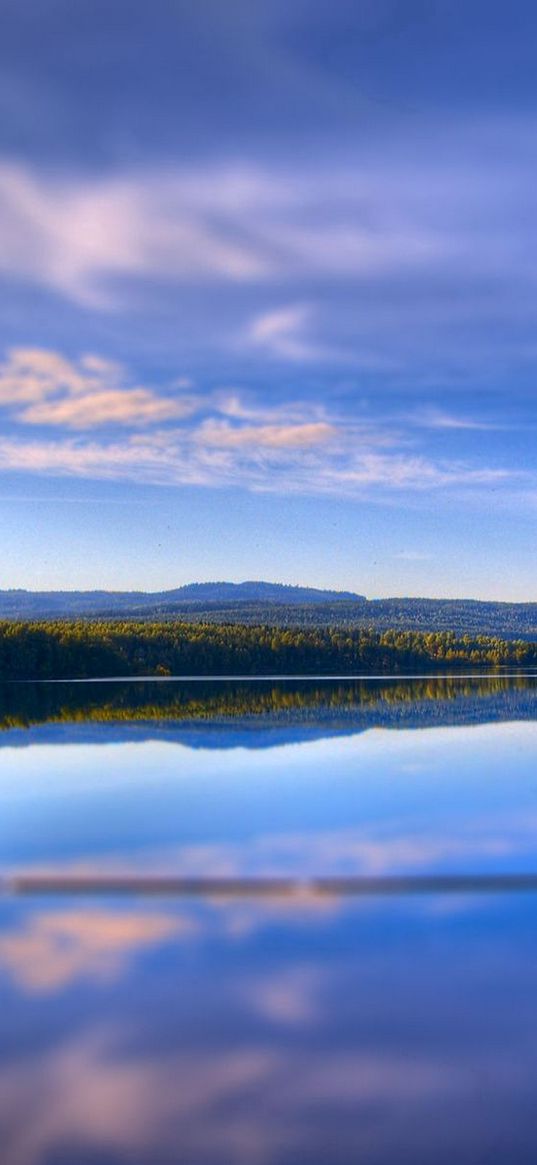 clouds, reservoir, trees, sky, ease, serenity, reflection, woods, summer