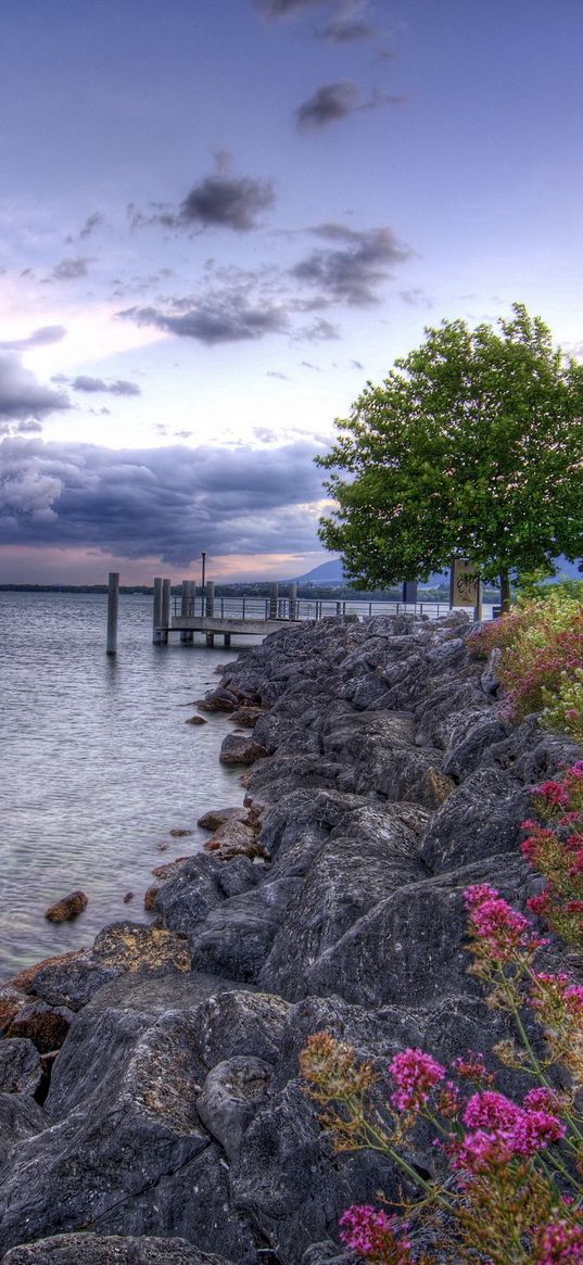 stones, flowers, trees, young growth, reservoir, sky, clouds, colors, cloudy, emptiness