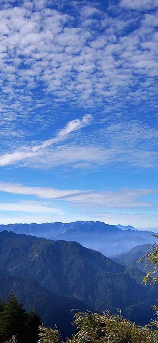 sky, clouds, ease, blue, freedom, look, from below, herbs, mountain, freshness, azure