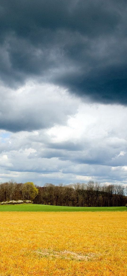 clouds, field, sky, gray, gloomy, storm, summer, august, grass mown, yellow