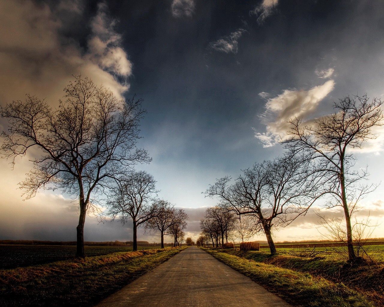 road, trees, fields, clouds, sky