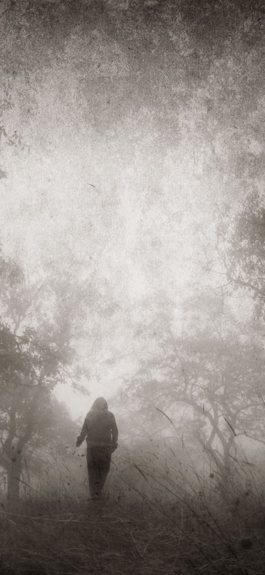 man, trees, mud, fog, black and white