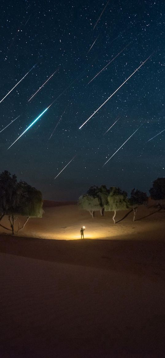 man, field, trees, lantern, meteors, night, starry sky, nature