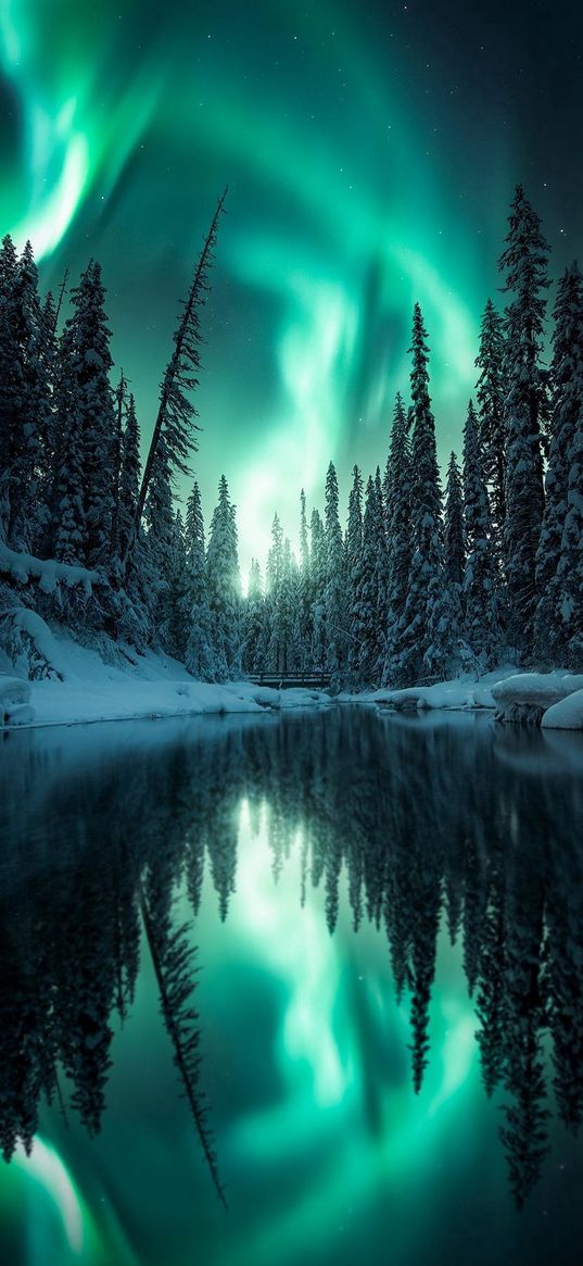 lake, reflection, trees, forest, snow, northern lights, nature