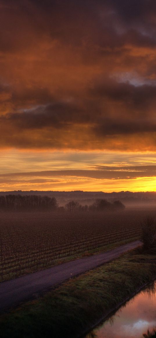 field, road, agriculture, decline, horizon