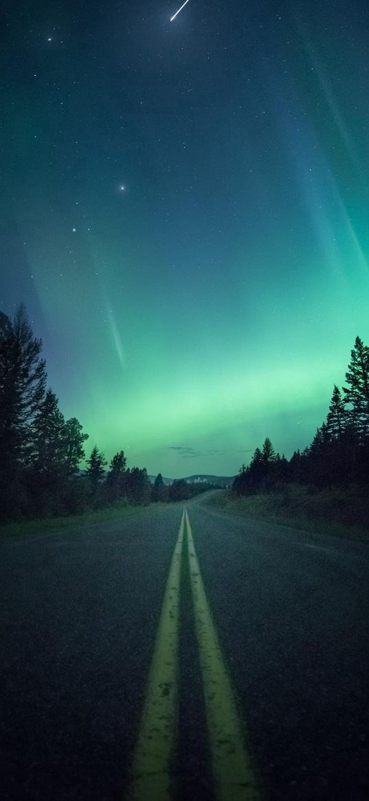 road, trees, northern lights, sky, night