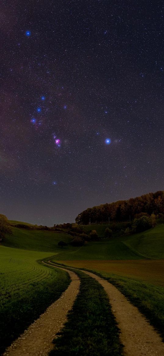 road, field, grass, trees, constellation, orion, starry sky, night, nature