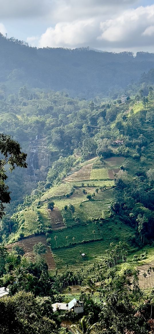 sri lanka, hills, trees, plantations