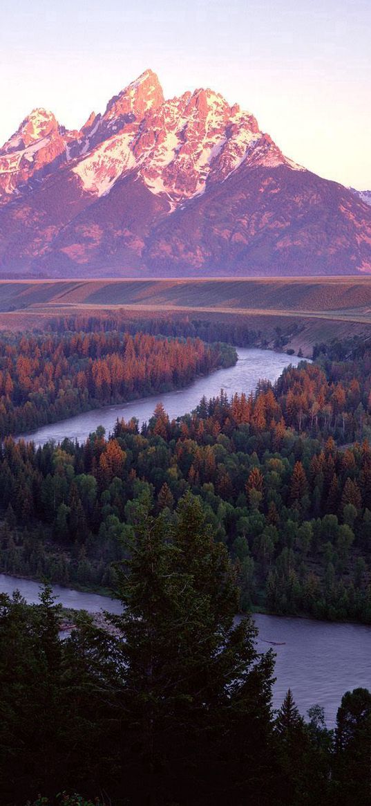 mountains, river, trees, bends, coniferous