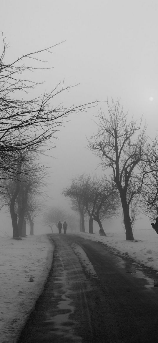 trees, road, winter, fog, asphalt, pair, walk, avenue